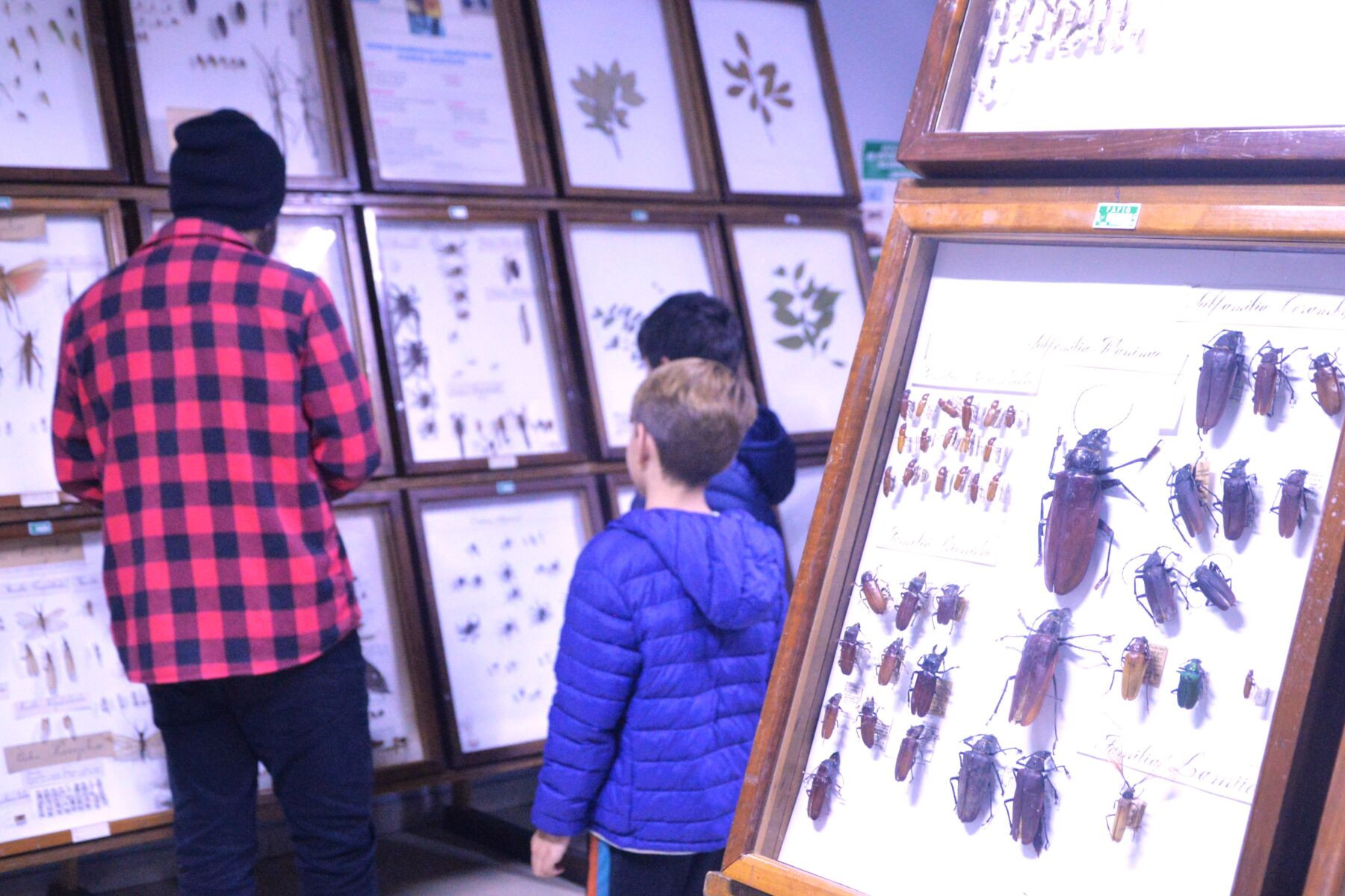 Museu de Ciências Naturais de Guarapuava tem programação na 20ª Primavera dos Museus