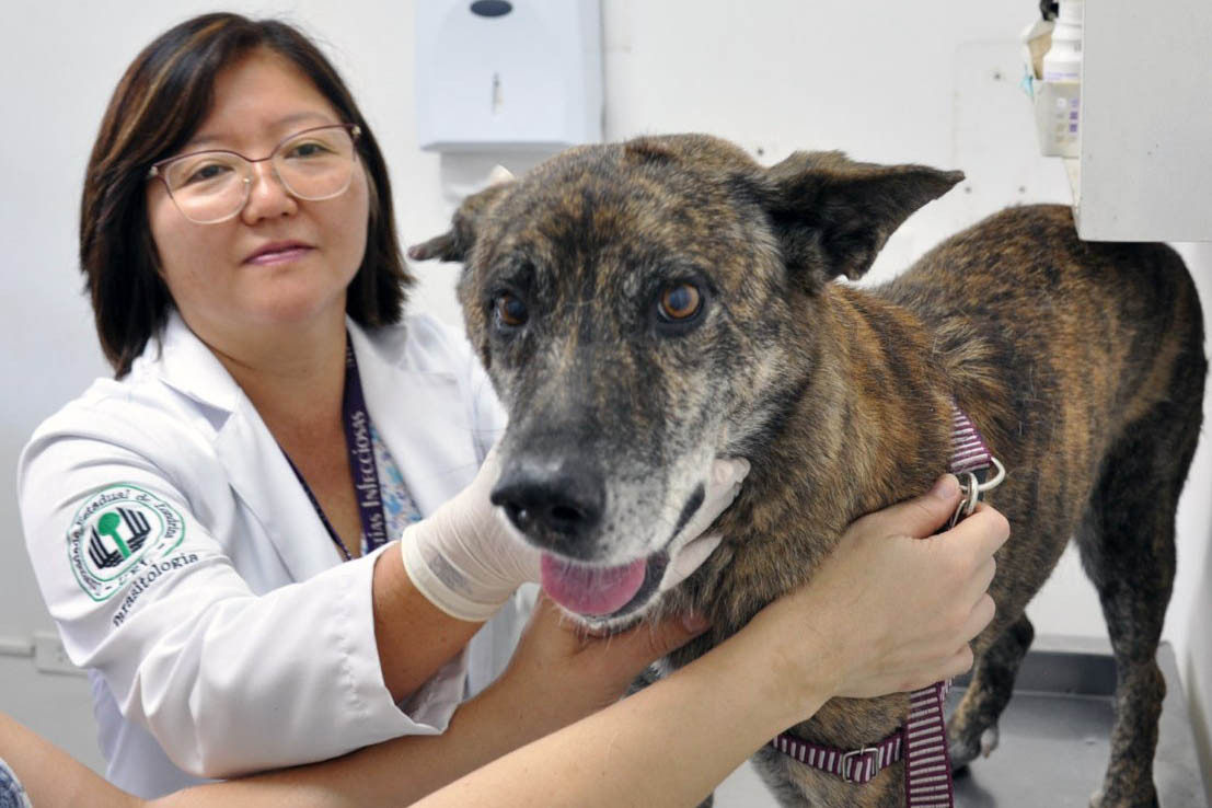 Unicentro oferece assistência a animais de pequeno e grande porte; VEJA COMO ENCAMINHAR!