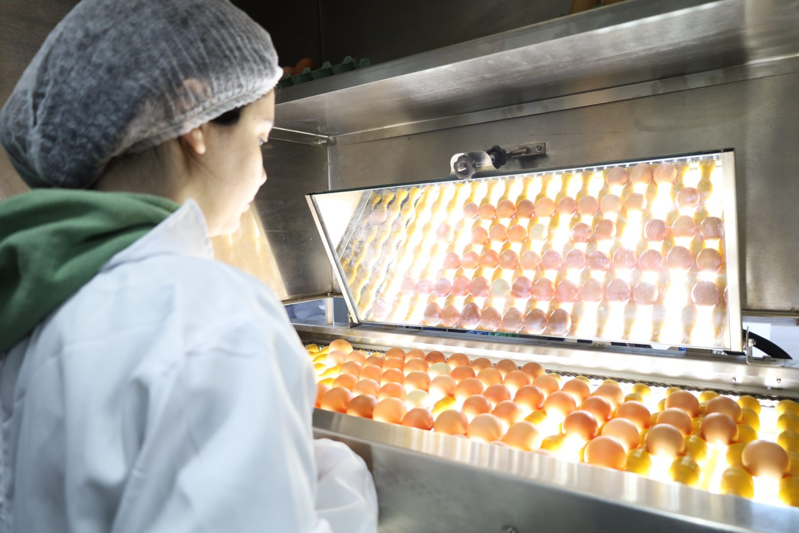 Nova classificadora de ovos fortalece a agricultura familiar e amplia oportunidades para produtores de Guarapuava